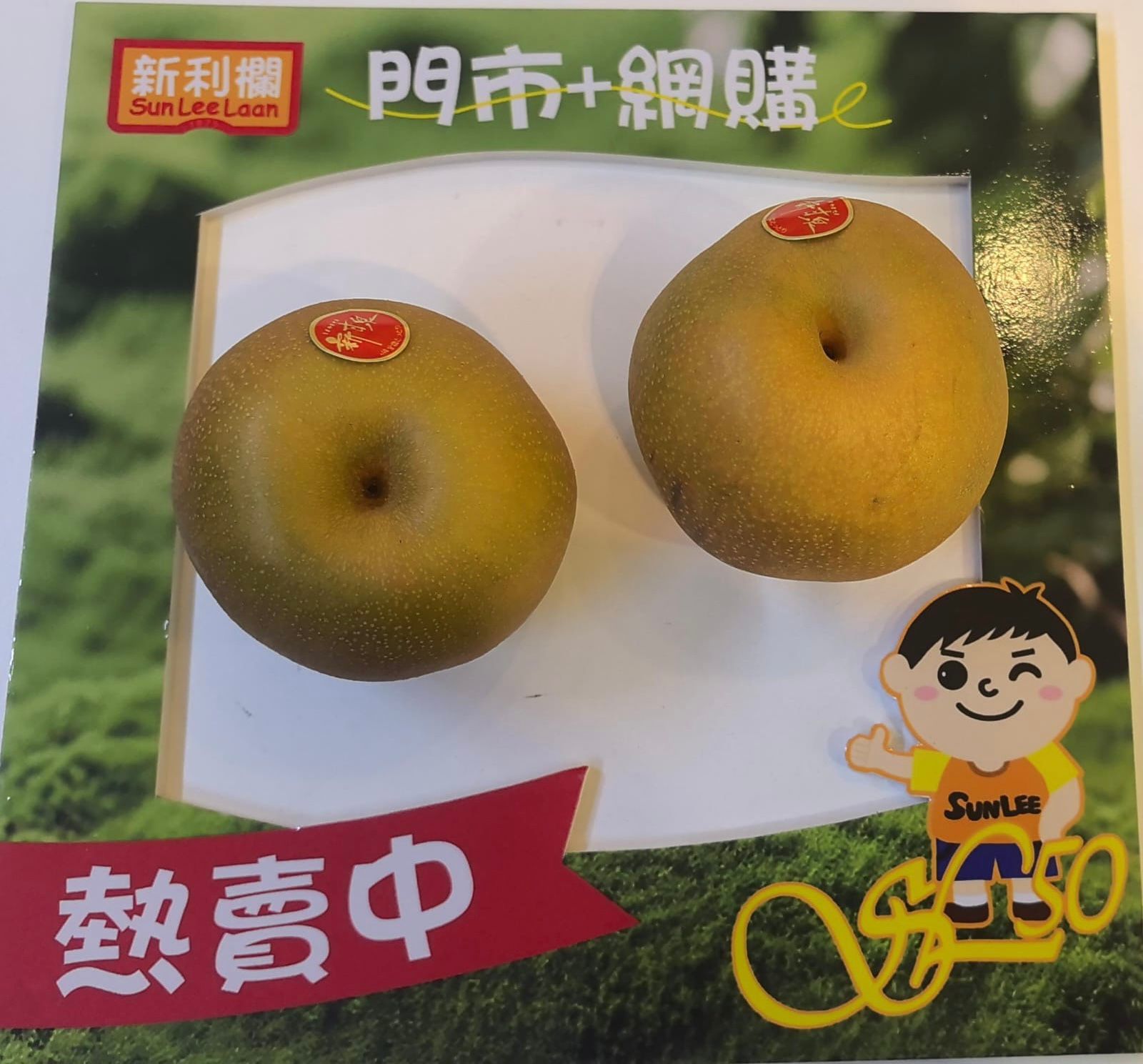 日本 鳥取縣 新甘泉梨 (2 個)