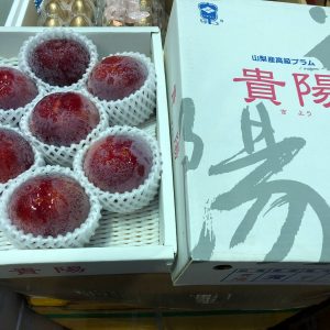 日本 山梨縣 貴陽梨 禮盒 (1 盒約 7 - 9 個)
