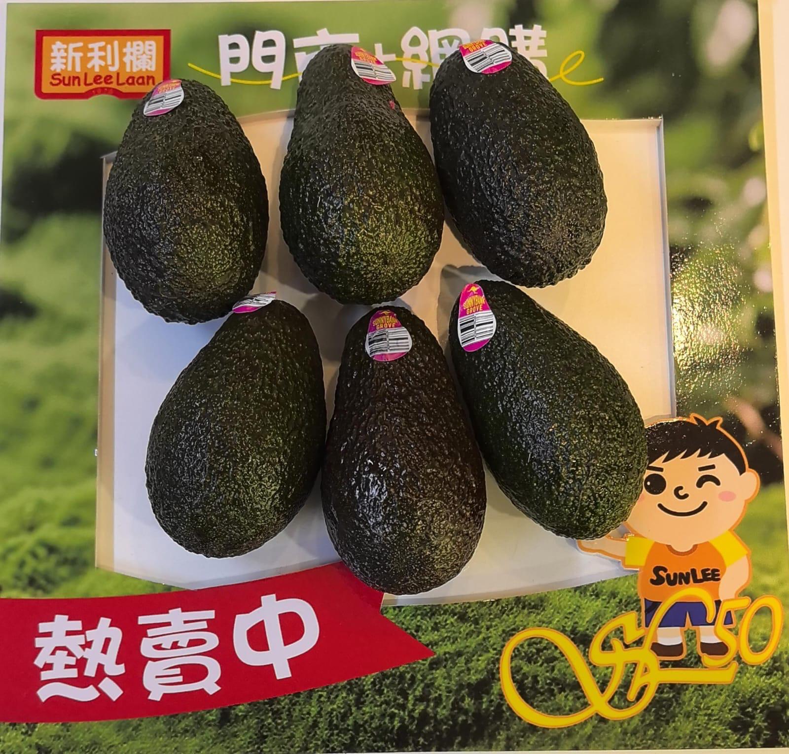 澳洲 細牛油果 (6 個)
