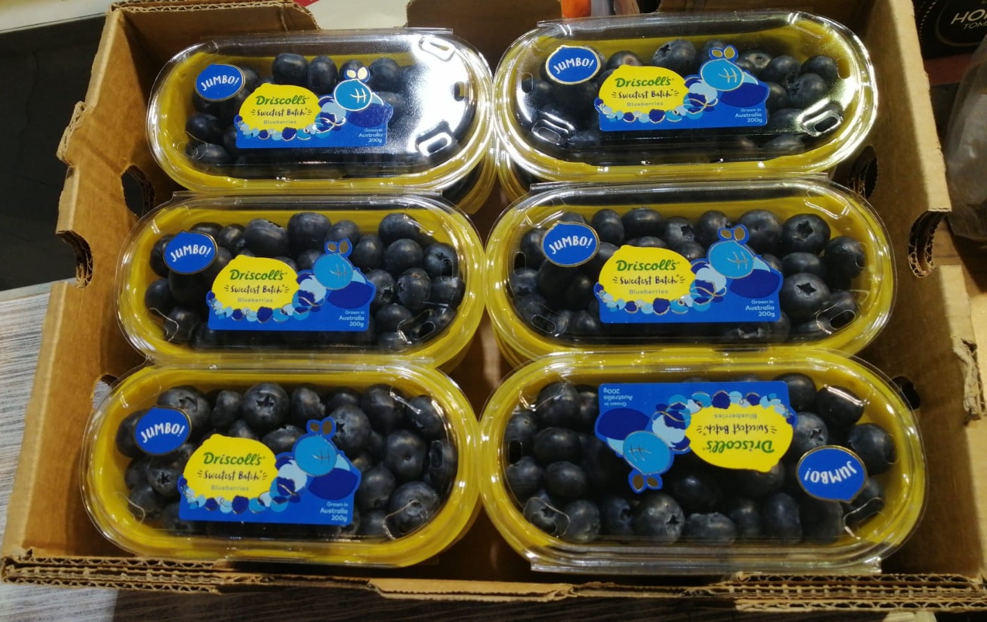 Driscoll's 皇牌珍寶藍莓 1 箱 (200g x 12 盒)