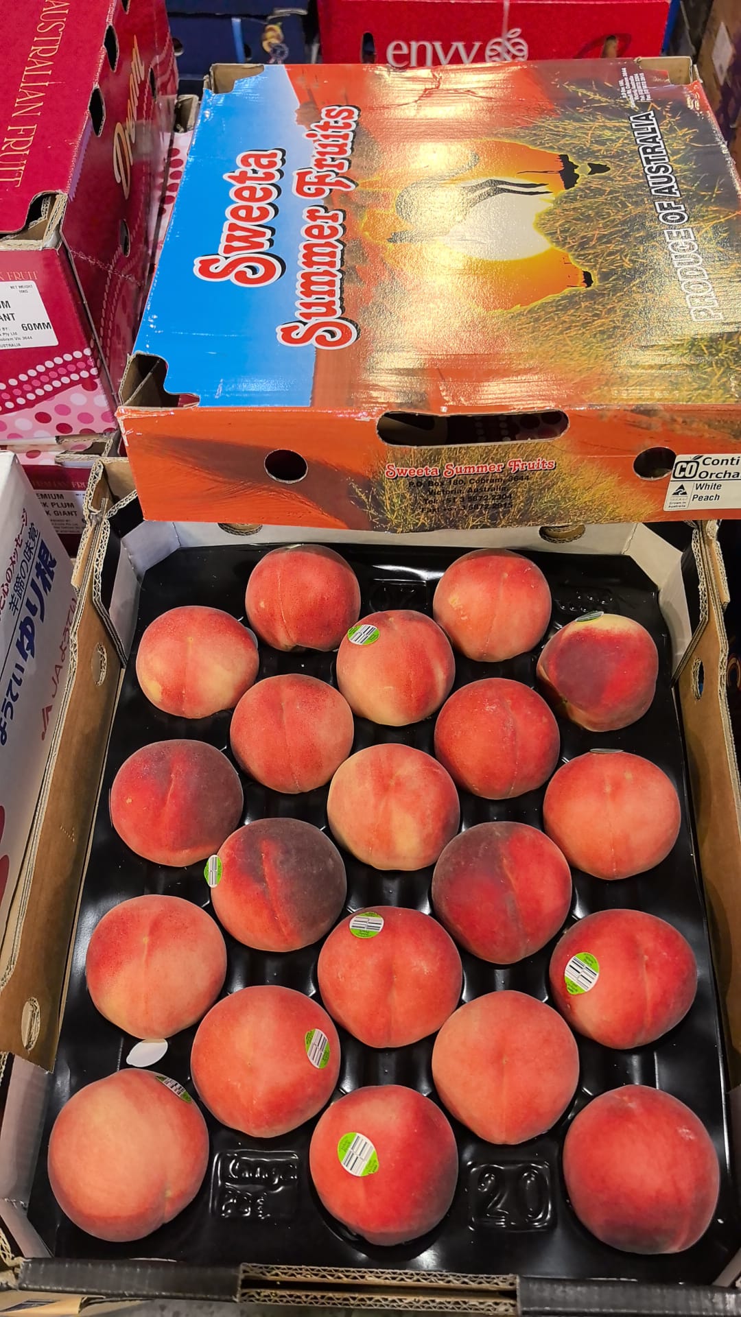 澳洲桃（一箱大約18-20個）