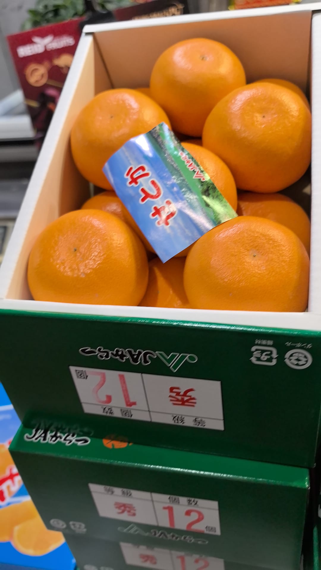 日本柑禮盒（一盒大約12個）