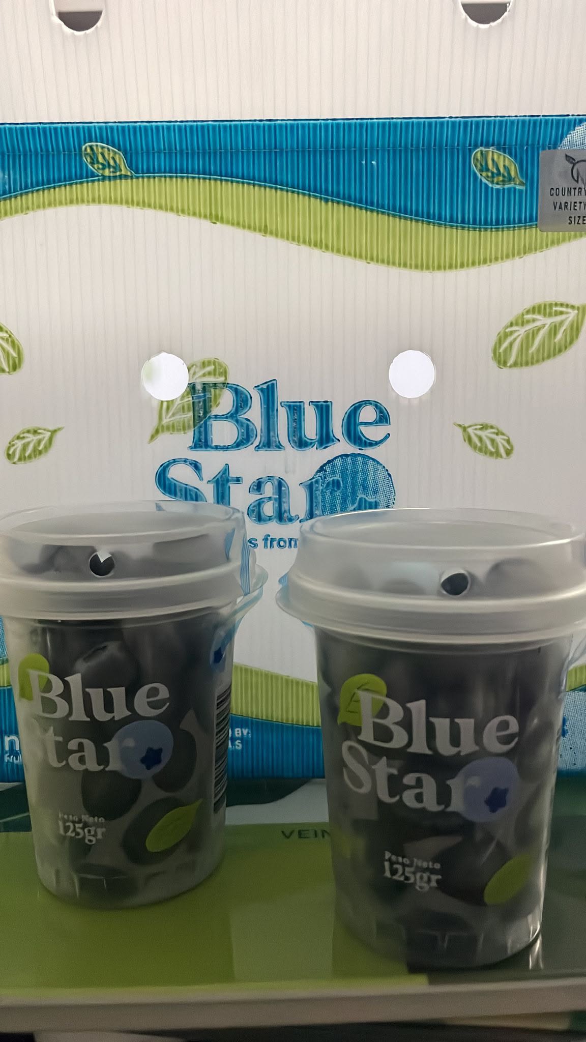 Blue Star 藍莓 （12筒x125g）