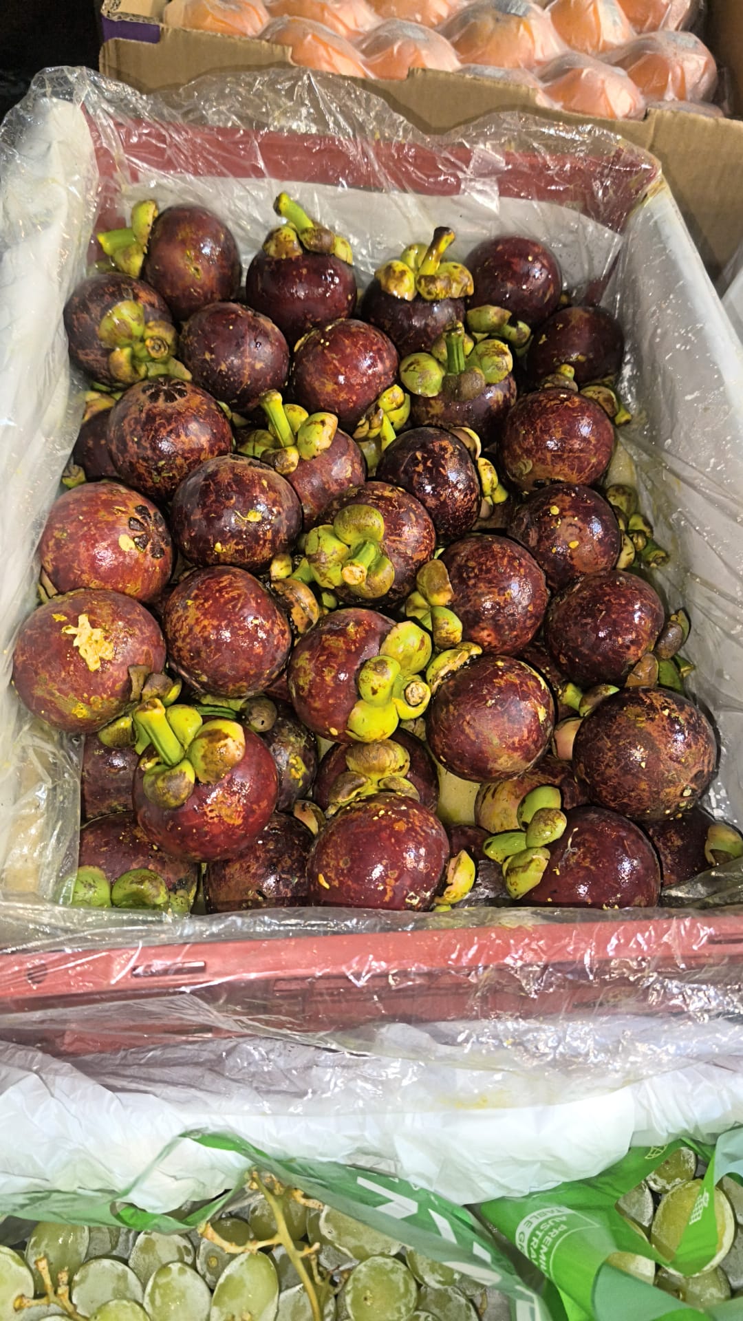 泰國山竹 （7kg/箱）